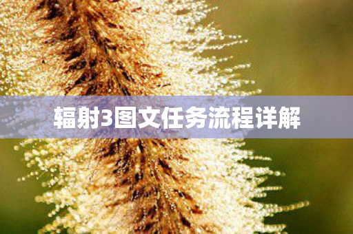 辐射3图文任务流程详解