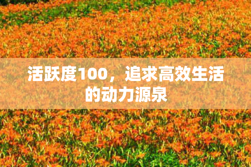 活跃度100，追求高效生活的动力源泉