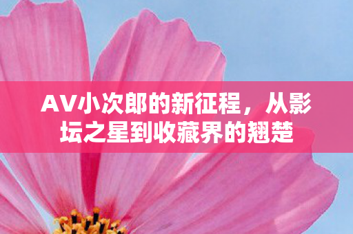 AV小次郎的新征程，从影坛之星到收藏界的翘楚