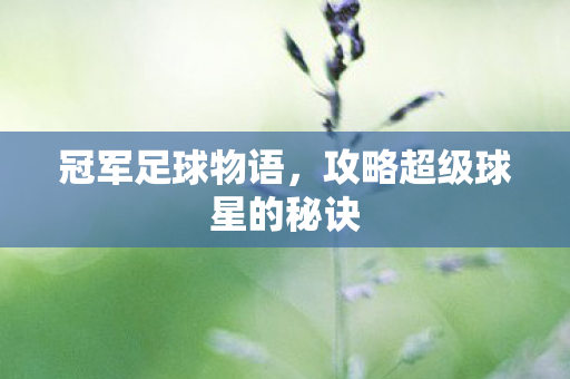冠军足球物语，攻略超级球星的秘诀