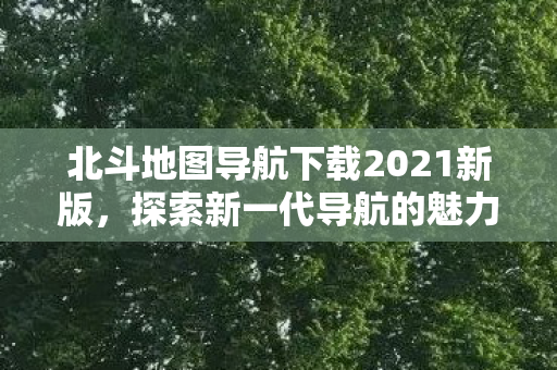 北斗地图导航下载2021新版，探索新一代导航的魅力