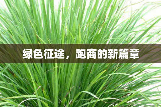 绿色征途，跑商的新篇章