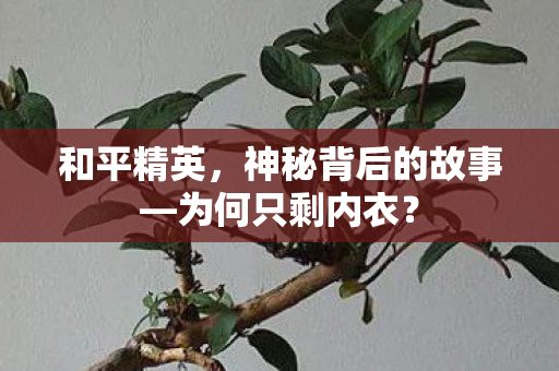 和平精英，神秘背后的故事—为何只剩内衣？