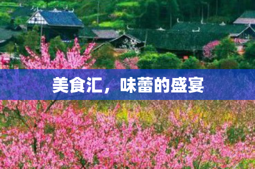 美食汇，味蕾的盛宴