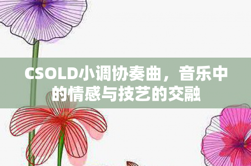 CSOLD小调协奏曲，音乐中的情感与技艺的交融