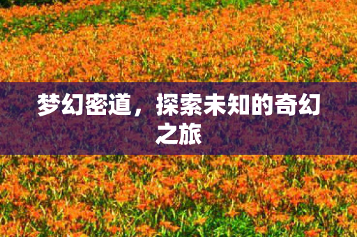梦幻密道，探索未知的奇幻之旅