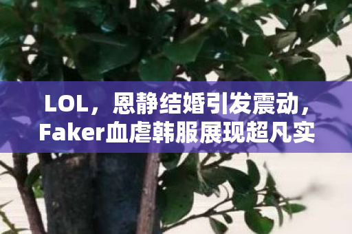 LOL，恩静结婚引发震动，Faker血虐韩服展现超凡实力