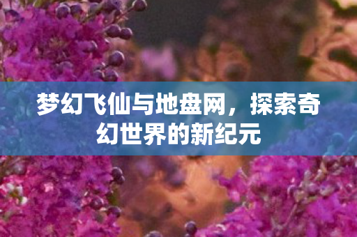 梦幻飞仙与地盘网，探索奇幻世界的新纪元