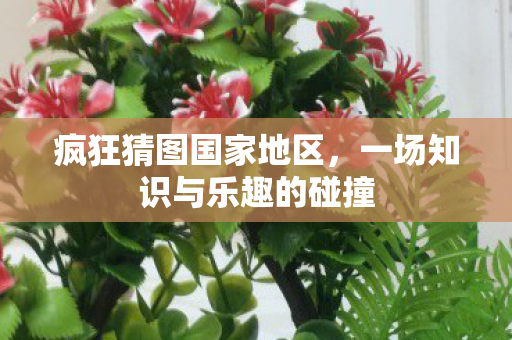 疯狂猜图国家地区，一场知识与乐趣的碰撞