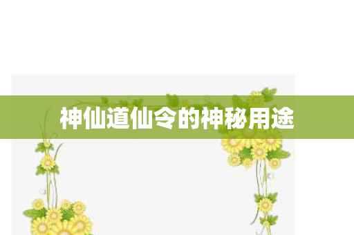 神仙道仙令的神秘用途