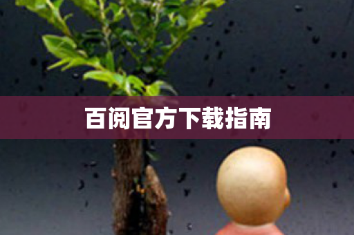 百阅官方下载指南
