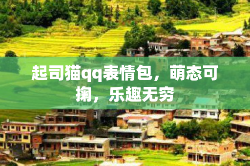 起司猫qq表情包，萌态可掬，乐趣无穷