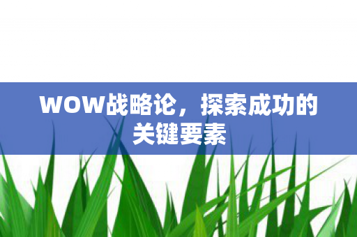WOW战略论，探索成功的关键要素