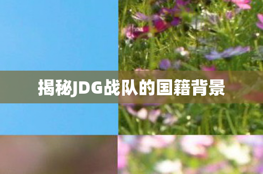 揭秘JDG战队的国籍背景