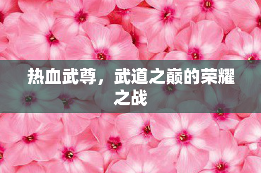 热血武尊，武道之巅的荣耀之战