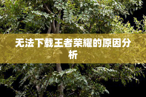 无法下载王者荣耀的原因分析