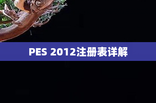 PES 2012注册表详解