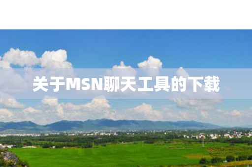 关于MSN聊天工具的下载