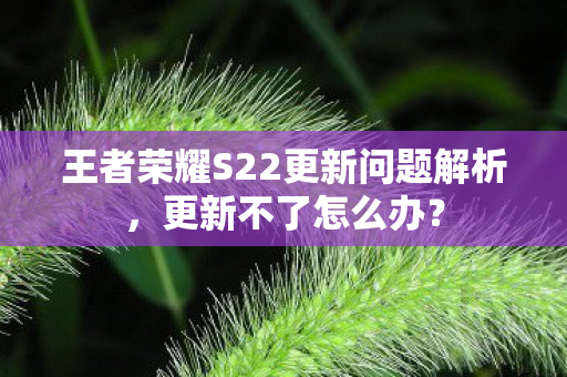 王者荣耀S22更新问题解析，更新不了怎么办？