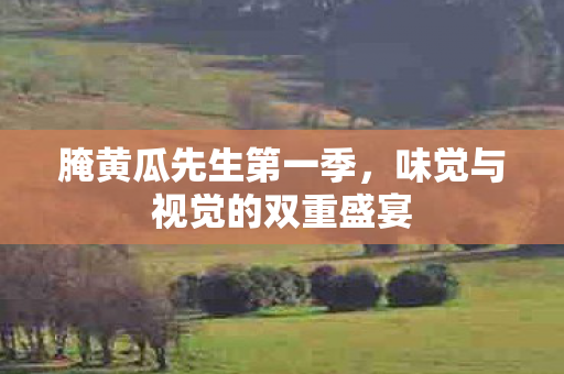 腌黄瓜先生第一季，味觉与视觉的双重盛宴