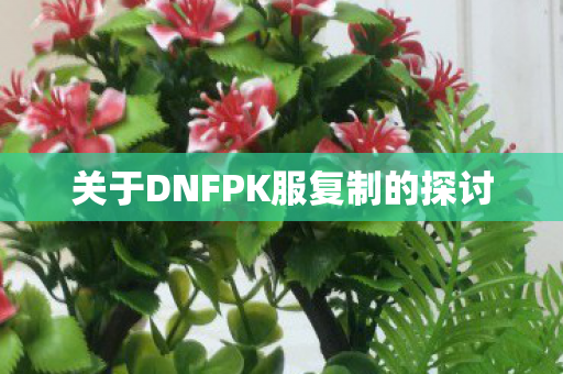 关于DNFPK服复制的探讨