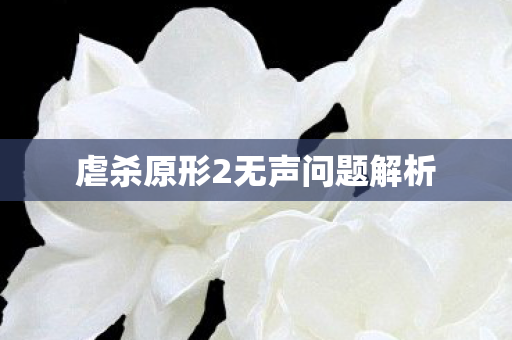 虐杀原形2无声问题解析