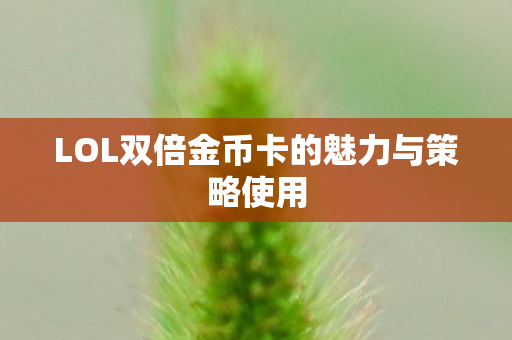 LOL双倍金币卡的魅力与策略使用