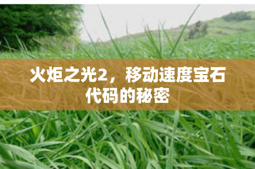 火炬之光2，移动速度宝石代码的秘密