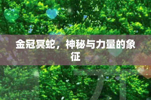 金冠冥蛇，神秘与力量的象征