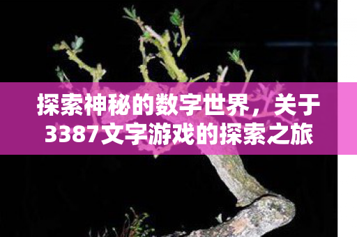探索神秘的数字世界，关于3387文字游戏的探索之旅
