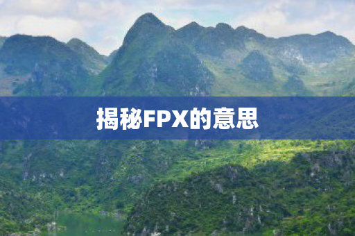 揭秘FPX的意思