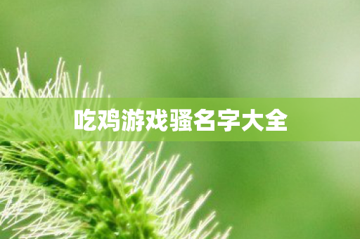 吃鸡游戏骚名字大全