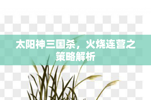 太阳神三国杀，火烧连营之策略解析