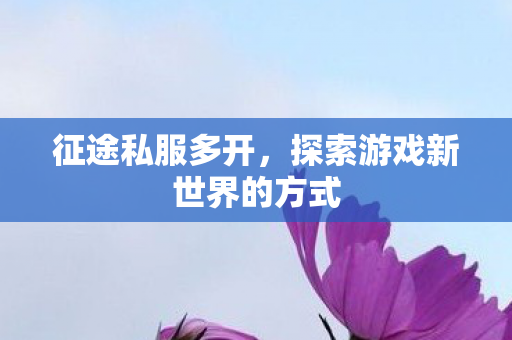 征途私服多开，探索游戏新世界的方式