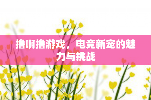 撸啊撸游戏，电竞新宠的魅力与挑战