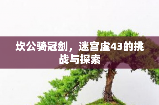 坎公骑冠剑，迷宫虚43的挑战与探索