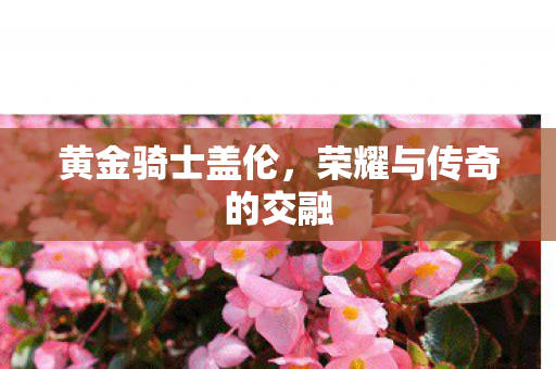 黄金骑士盖伦，荣耀与传奇的交融