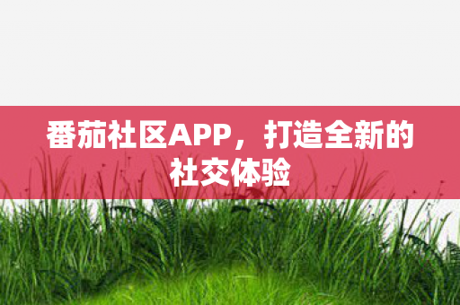 番茄社区APP，打造全新的社交体验