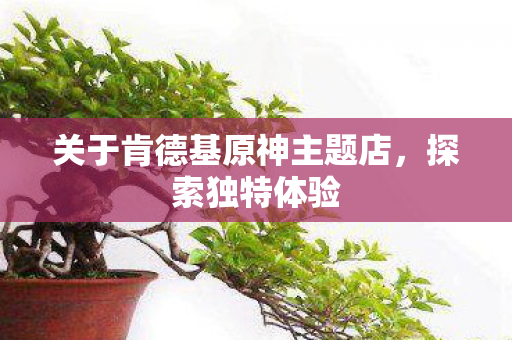 关于肯德基原神主题店，探索独特体验