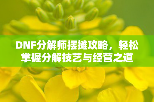 DNF分解师摆摊攻略，轻松掌握分解技艺与经营之道
