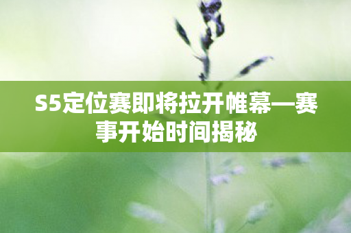 S5定位赛即将拉开帷幕—赛事开始时间揭秘