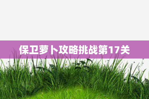 保卫萝卜攻略挑战第17关