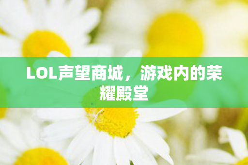 LOL声望商城，游戏内的荣耀殿堂