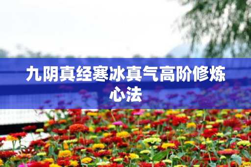 九阴真经寒冰真气高阶修炼心法