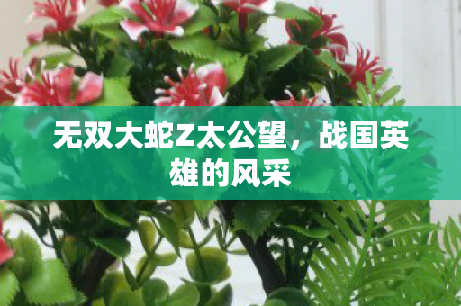 无双大蛇Z太公望，战国英雄的风采