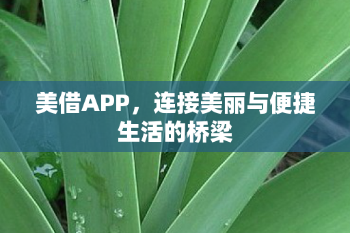 美借APP，连接美丽与便捷生活的桥梁