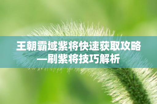 王朝霸域紫将快速获取攻略—刷紫将技巧解析