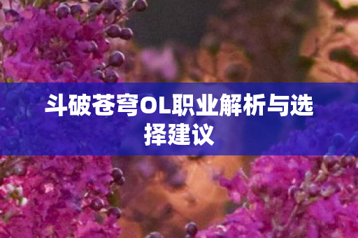 斗破苍穹OL职业解析与选择建议