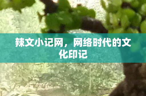 辣文小记网，网络时代的文化印记