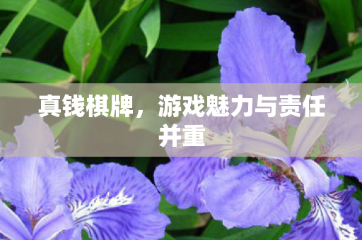 真钱棋牌，游戏魅力与责任并重